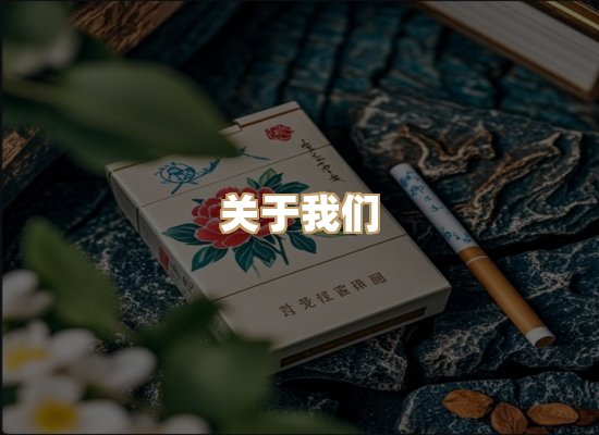 关于奥玛烟网